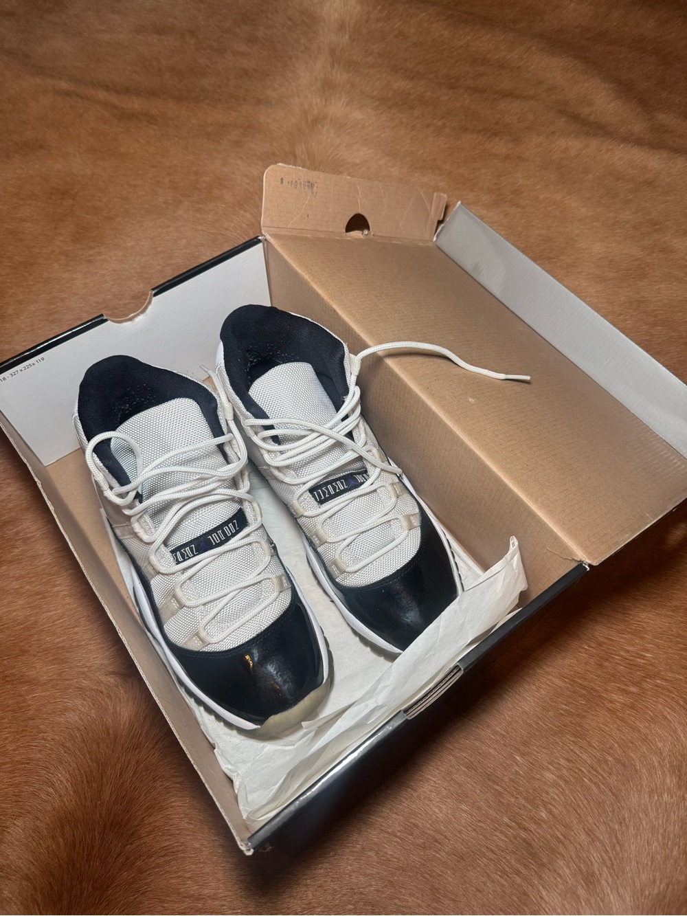 Jordan Concord (gs) 2011